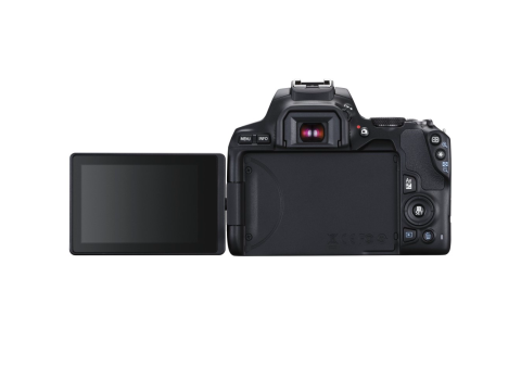 Canon EOS 250D Body.Picture2